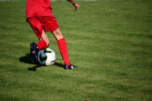 米兰app-中国篮球职业联赛俱乐部青训体系建设与实践探索，篮球青年训练营